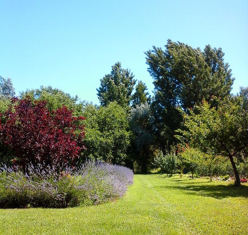 Bed and Breakfast Ca Morari Argenta Экстерьер фото