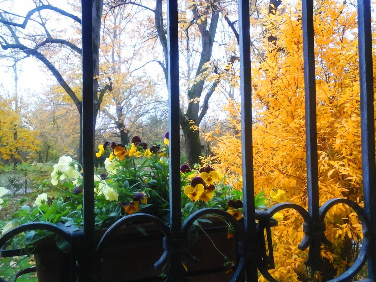 Bed and Breakfast Ca Morari Argenta Экстерьер фото