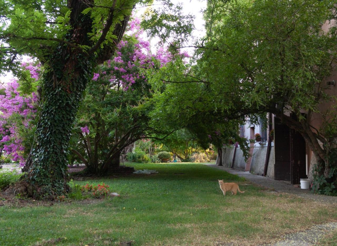 Bed and Breakfast Ca Morari Argenta Экстерьер фото
