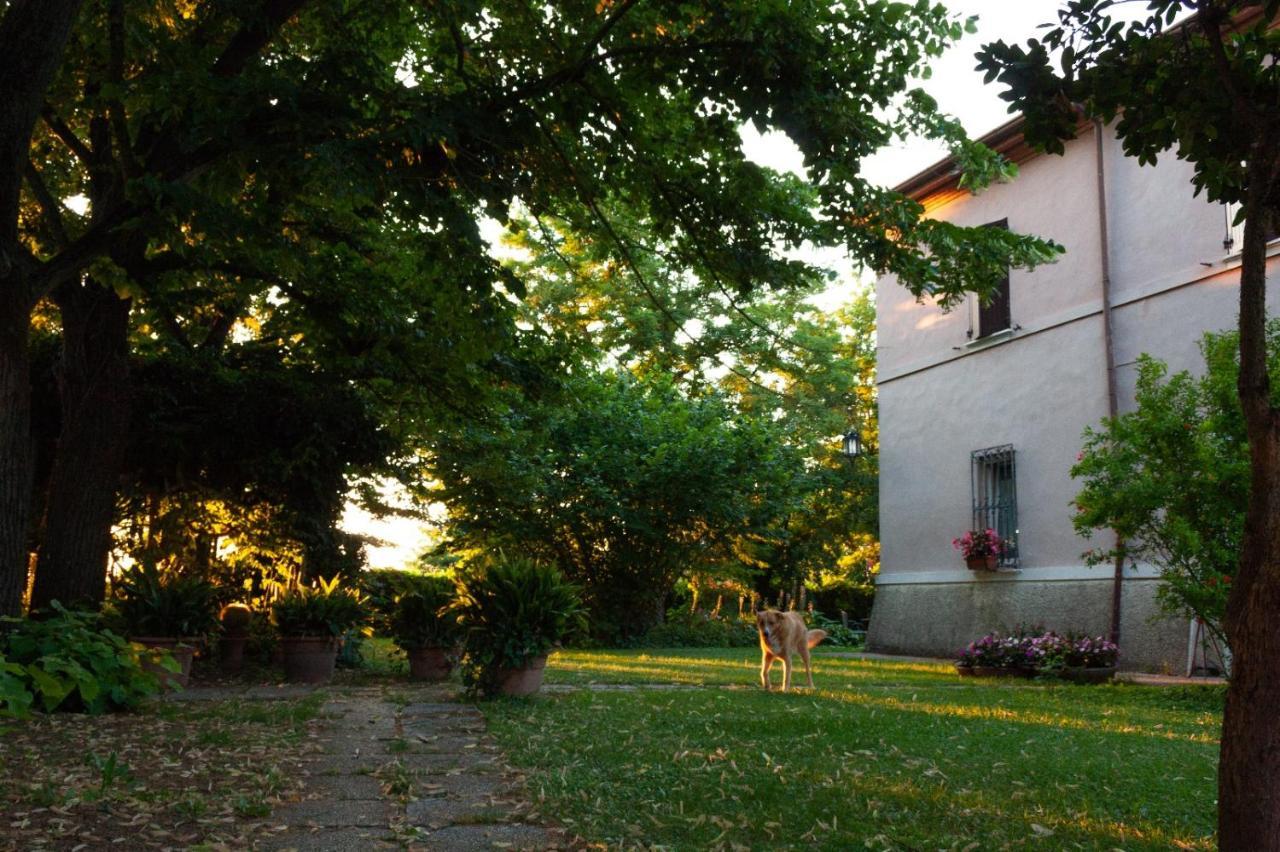 Bed and Breakfast Ca Morari Argenta Экстерьер фото